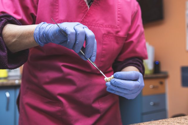 dentist Brasov – Luchita Dent